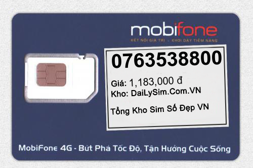 0763538800
