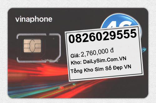 0826029555