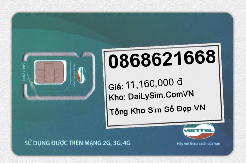 0868621668