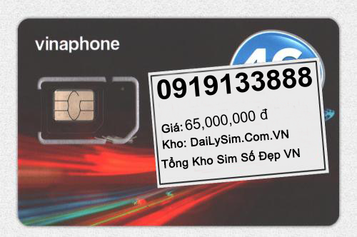 0919133888